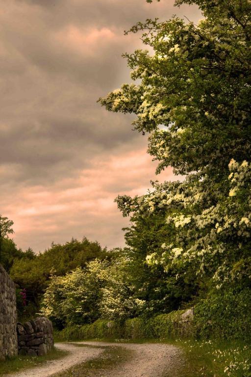 The Waters Country House Ballyvaughan Exteriör bild